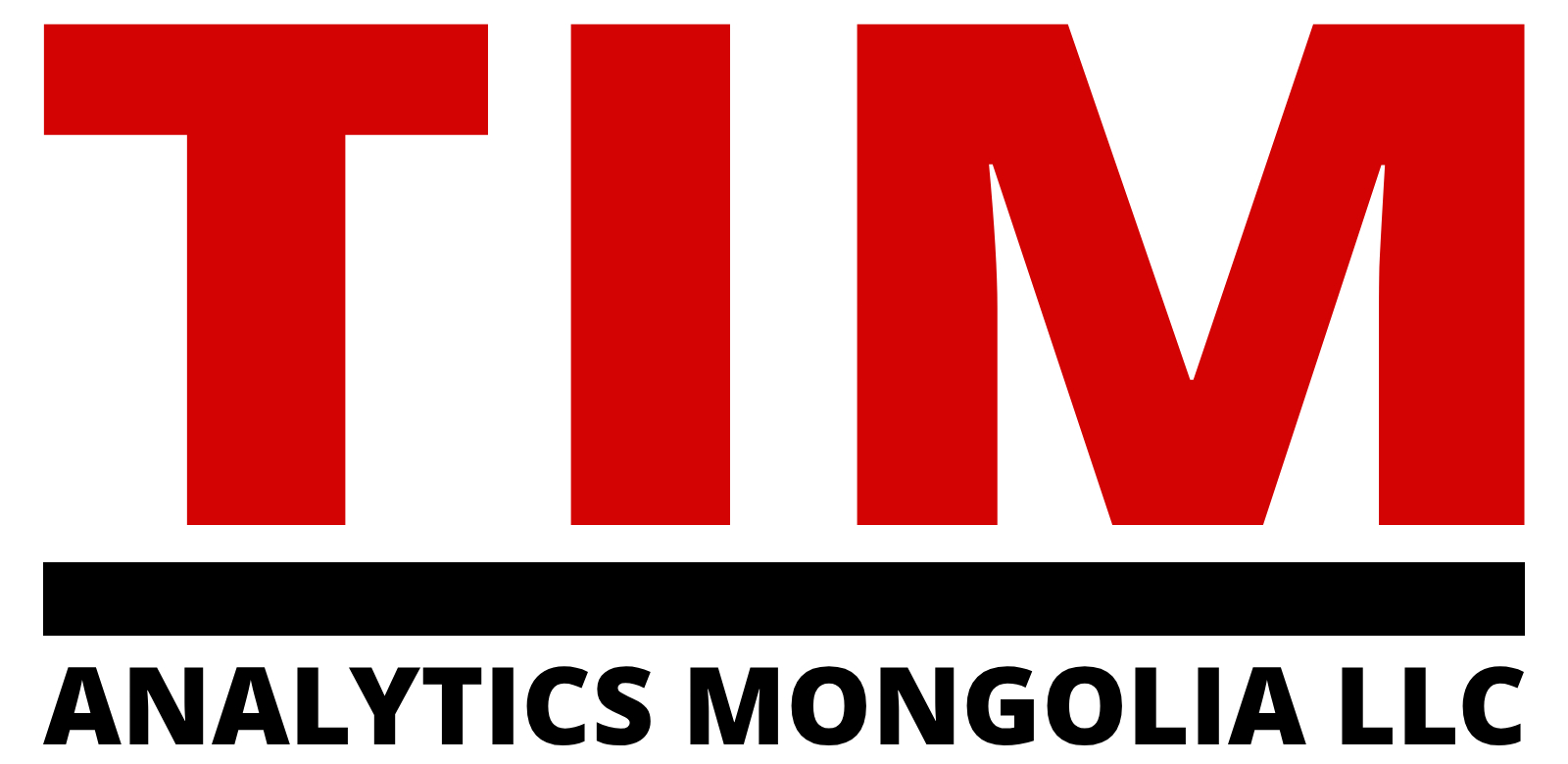 TIM analytics LLC