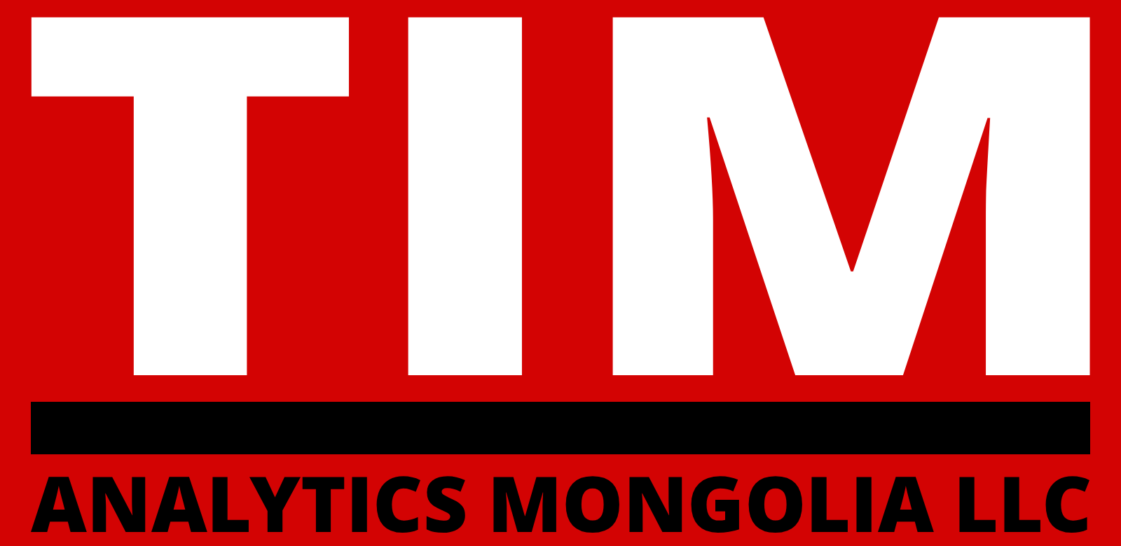 TIM Analytics Mongolia logo